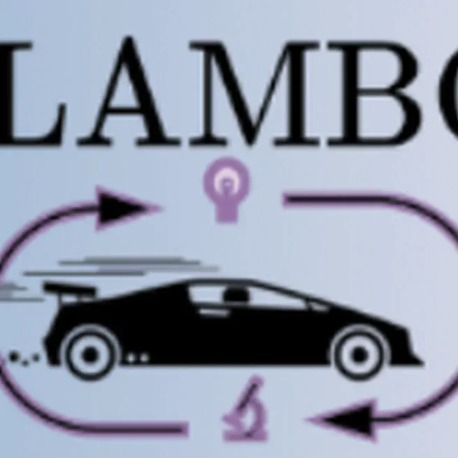 LLAMBO(Run)